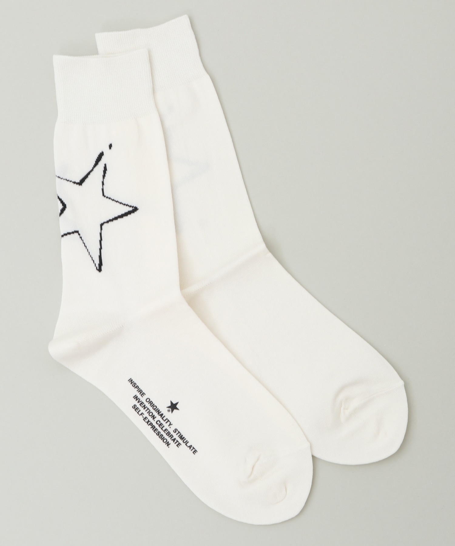 BIG STAR★ PAINT SOX