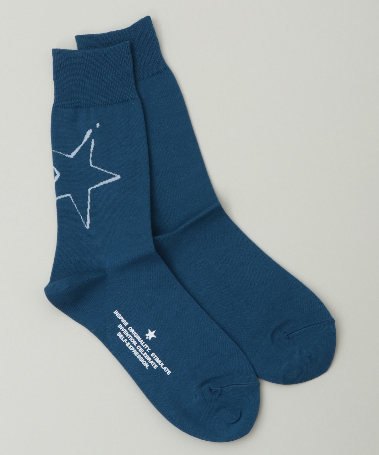 BIG STAR★ PAINT SOX