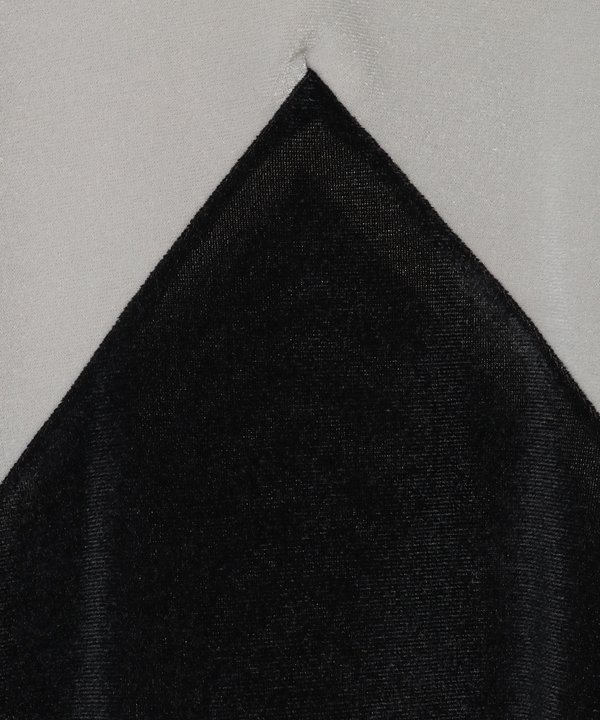 SHEER VELOUR TOP 詳細画像 5