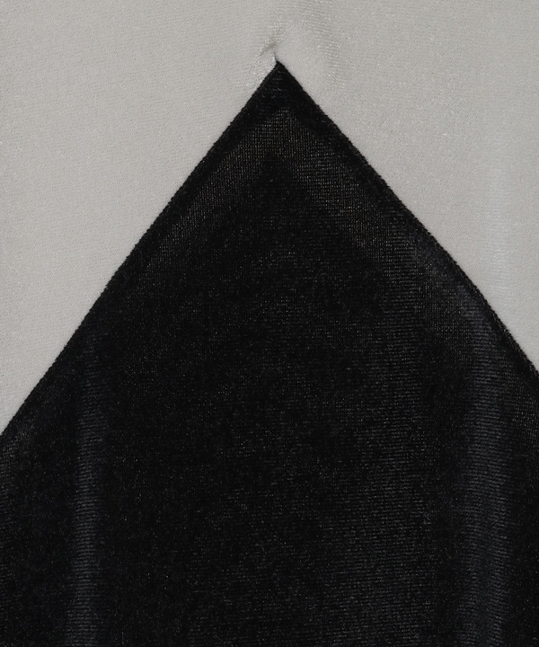 BI-COLOR SHEER VELOR TOP 詳細画像 8