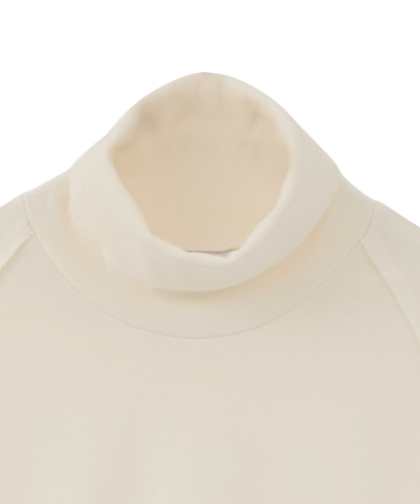 PIGMENT RIPPLE TURTLE-NECK TEE 詳細画像 2