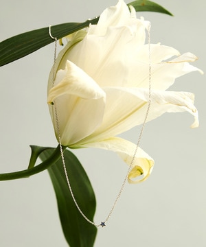 “Star of Dawn” Necklace (Silver925)